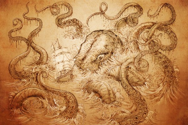 Kraken даркнет переходник