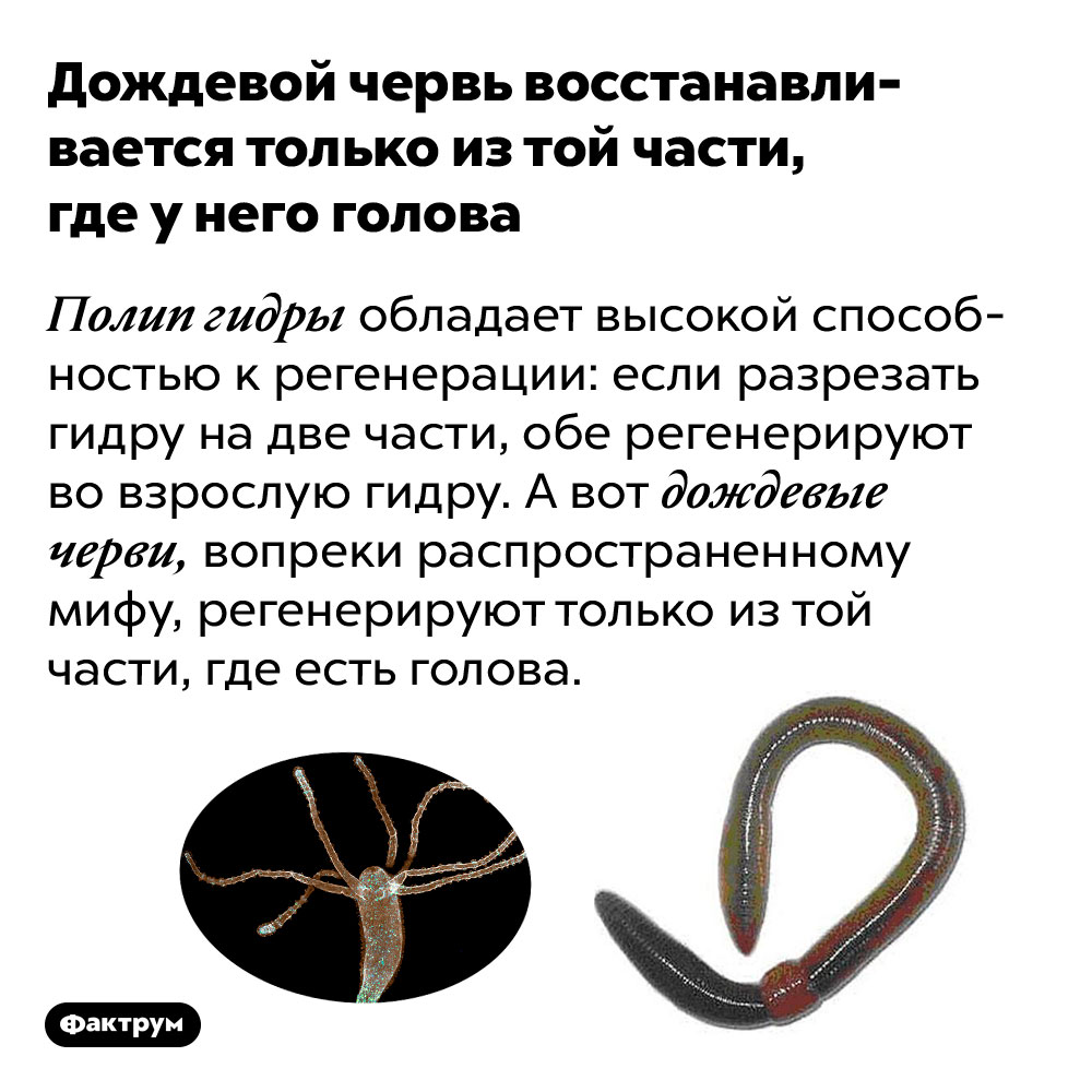 Что такое кракен маркетплейс в россии